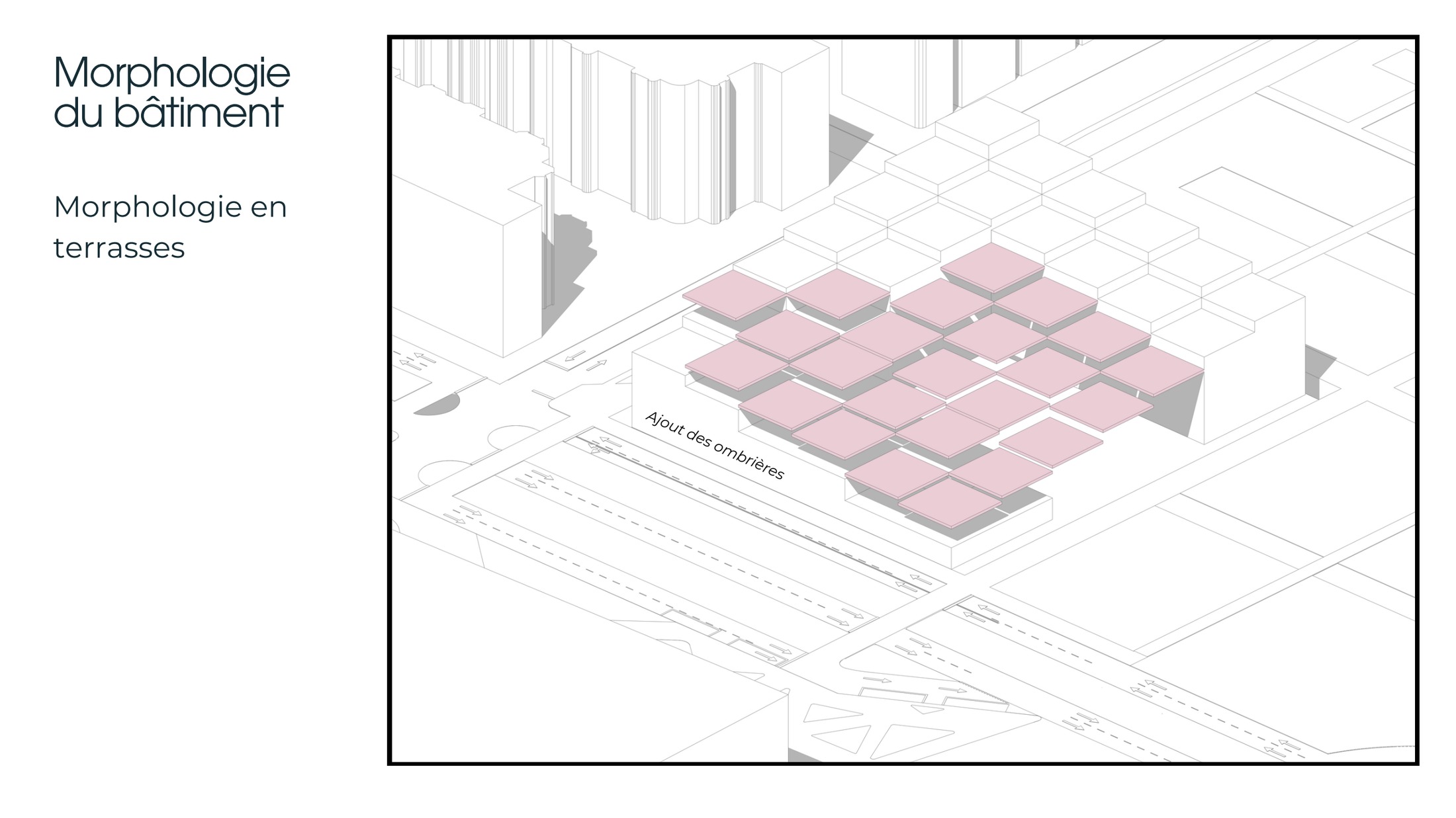 colmena — Morphologie, travail des terrasses