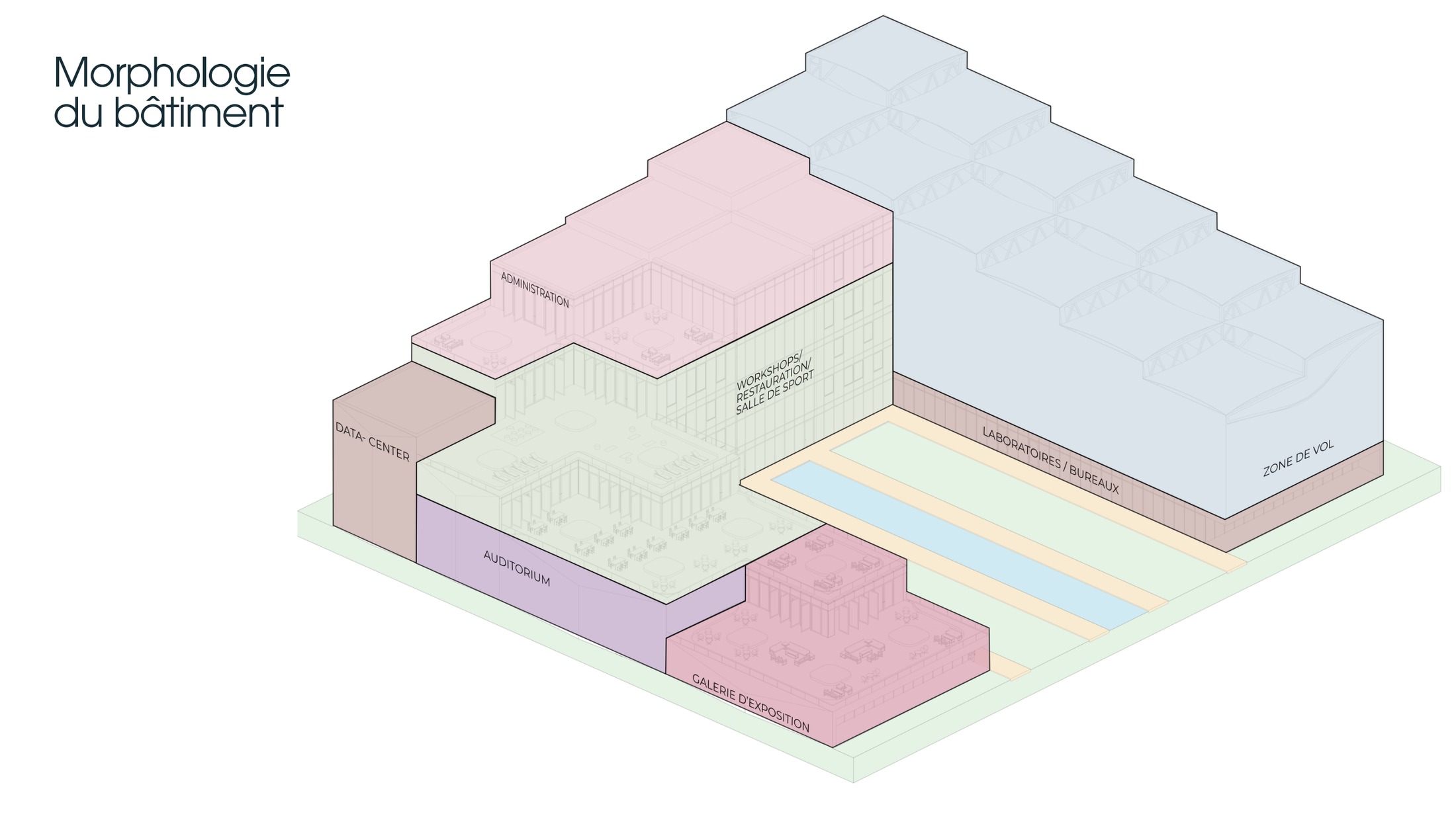 colmena — Morphologie, répartition du programme