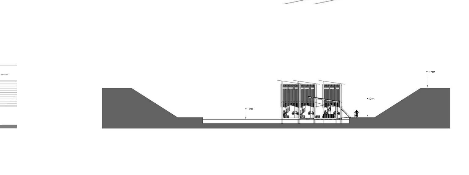 habitat — Coupe sur site