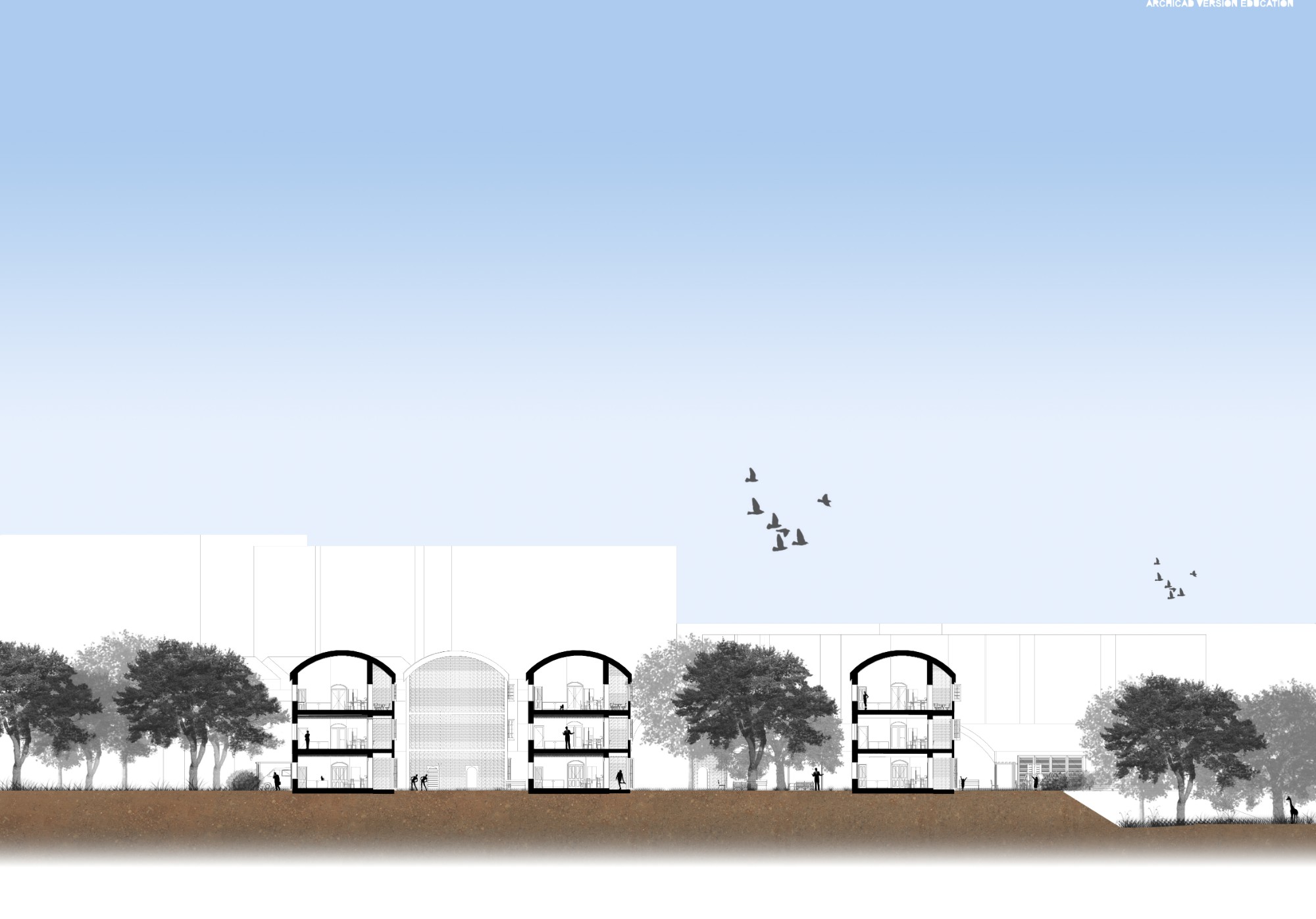 residences — Coupe sur les modules en voûte